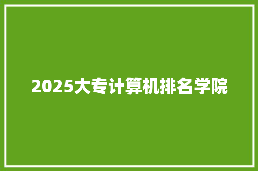 2025大专计算机排名学院