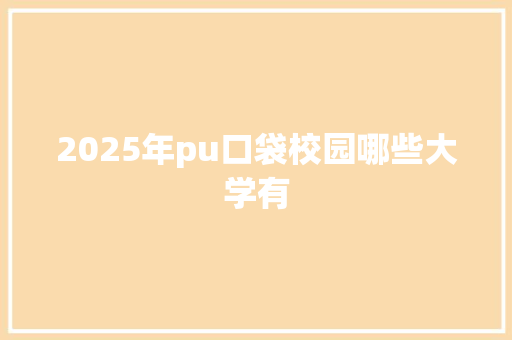 2025年pu口袋校园哪些大学有 采访稿