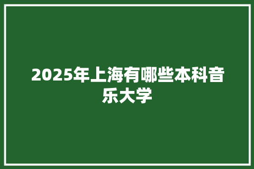 2025年上海有哪些本科音乐大学