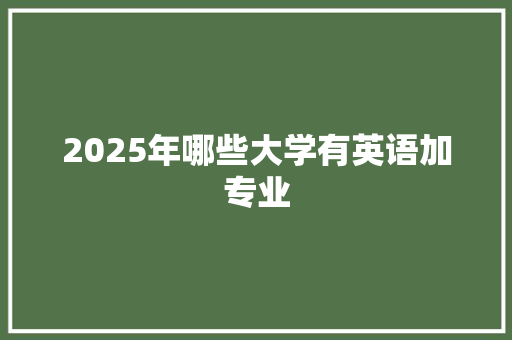 2025年哪些大学有英语加专业