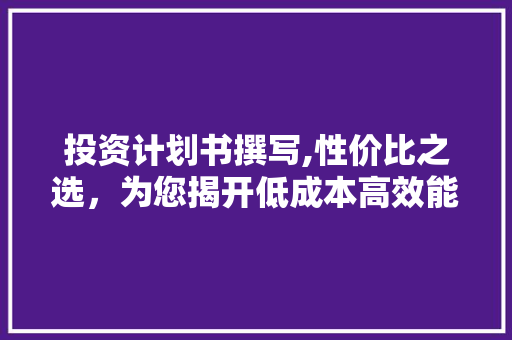 投资计划书撰写,性价比之选，为您揭开低成本高效能的秘密