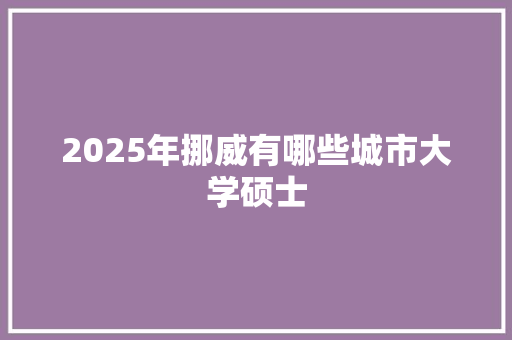 2025年挪威有哪些城市大学硕士 工作报告