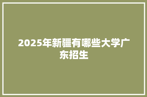 2025年新疆有哪些大学广东招生 工作总结
