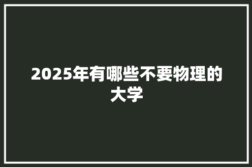 2025年有哪些不要物理的大学 工作总结