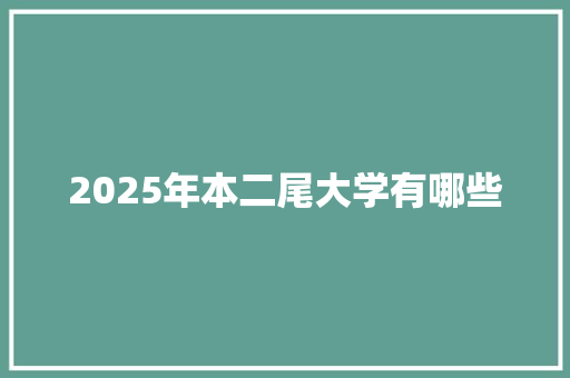 2025年本二尾大学有哪些 工作报告