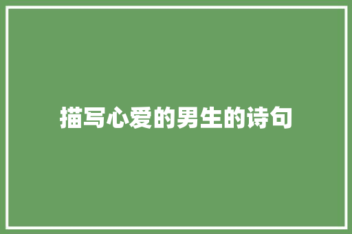 描写心爱的男生的诗句