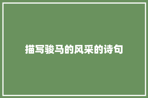 描写骏马的风采的诗句 生活类
