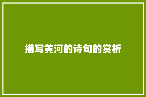 描写黄河的诗句的赏析