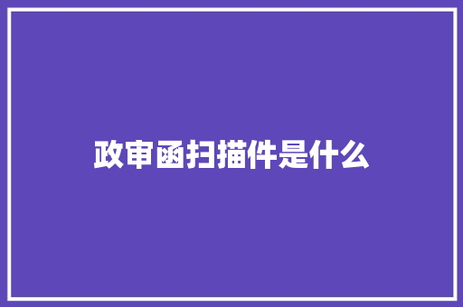 政审函扫描件是什么