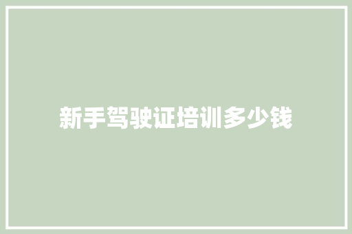 新手驾驶证培训多少钱