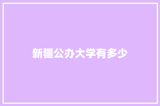 新疆公办大学有多少 工作总结