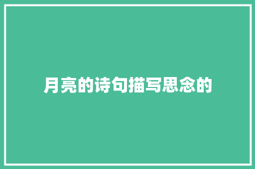 月亮的诗句描写思念的