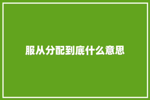 服从分配到底什么意思 工作报告