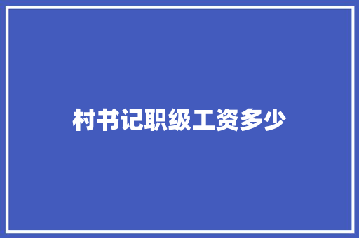 村书记职级工资多少