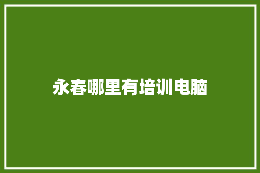 永春哪里有培训电脑