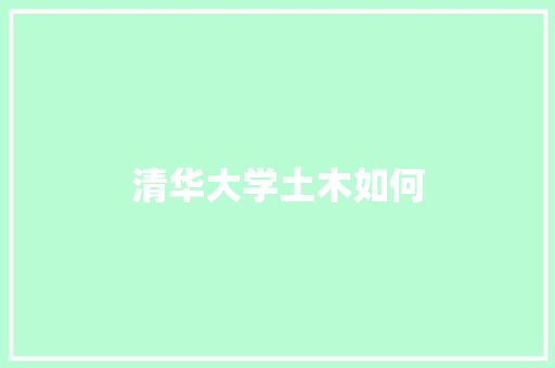 清华大学土木如何 工作报告