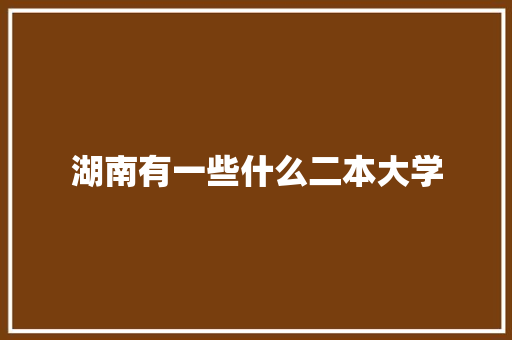 湖南有一些什么二本大学 工作总结