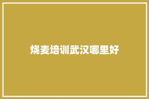 烧麦培训武汉哪里好