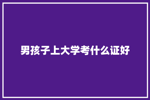 男孩子上大学考什么证好
