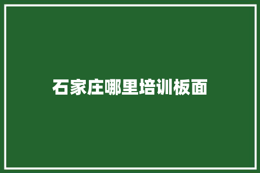 石家庄哪里培训板面
