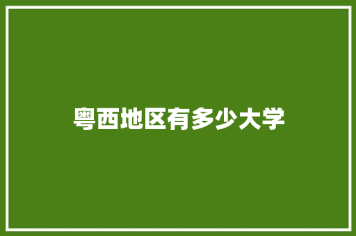 粤西地区有多少大学