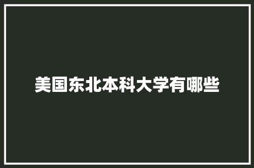 美国东北本科大学有哪些