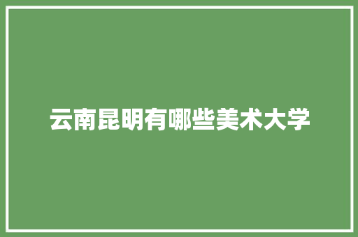 云南昆明有哪些美术大学 工作报告