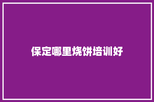 保定哪里烧饼培训好 采访稿
