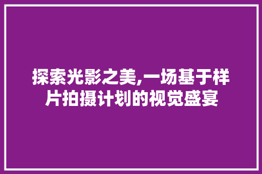 探索光影之美,一场基于样片拍摄计划的视觉盛宴