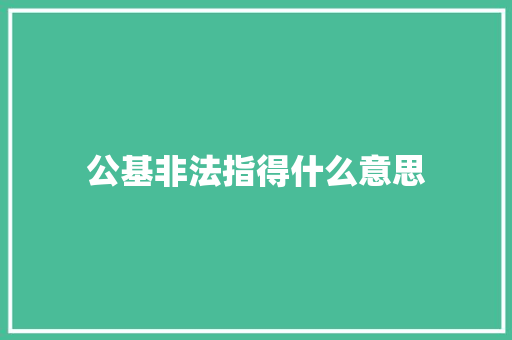 公基非法指得什么意思