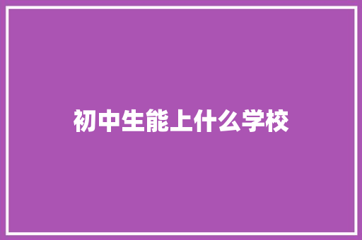 初中生能上什么学校 特写稿