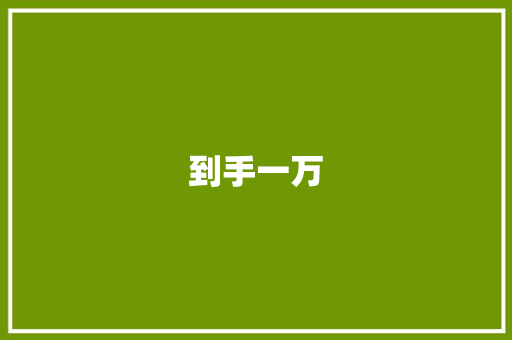 到手一万