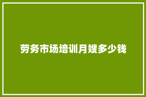 劳务市场培训月嫂多少钱