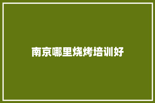 南京哪里烧烤培训好 商业文稿