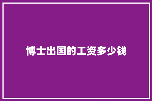 博士出国的工资多少钱