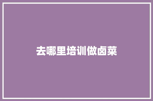 去哪里培训做卤菜