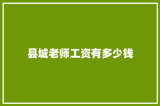 县城老师工资有多少钱