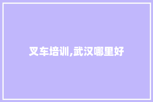 叉车培训,武汉哪里好 生活类