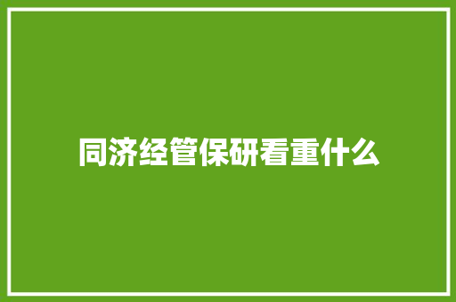 同济经管保研看重什么