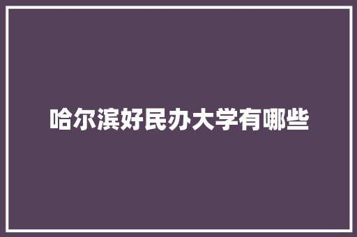 哈尔滨好民办大学有哪些 特写稿