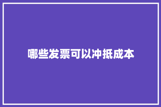 哪些发票可以冲抵成本 工作报告