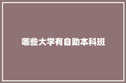 哪些大学有自助本科班