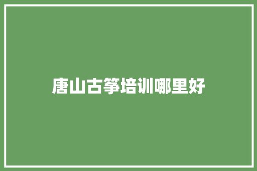 唐山古筝培训哪里好 采访稿