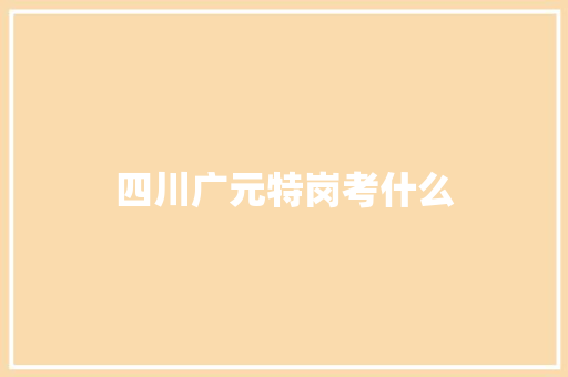 四川广元特岗考什么 商业文稿