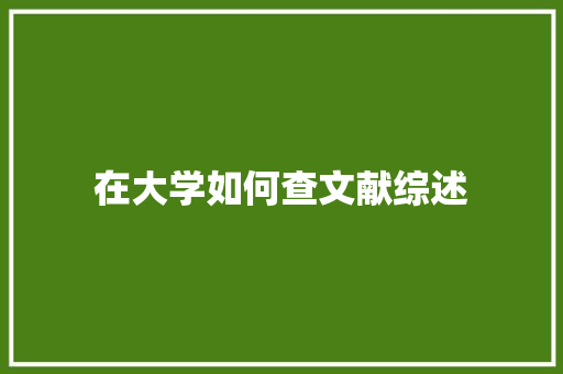 在大学如何查文献综述