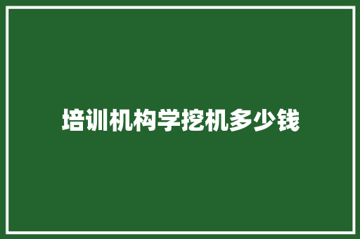 培训机构学挖机多少钱