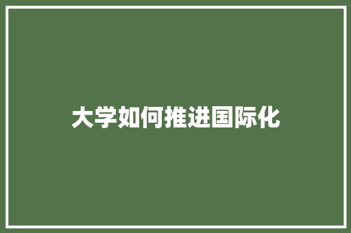 大学如何推进国际化