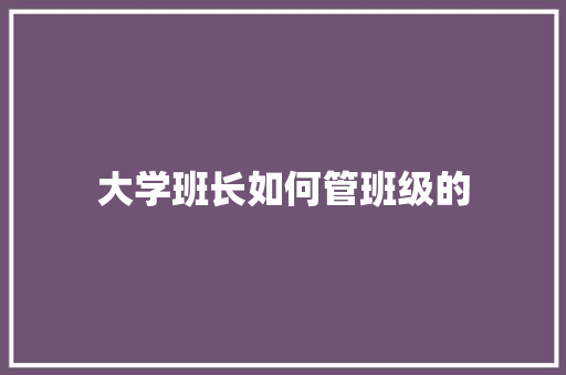 大学班长如何管班级的 工作总结