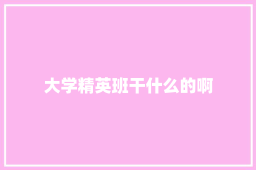 大学精英班干什么的啊