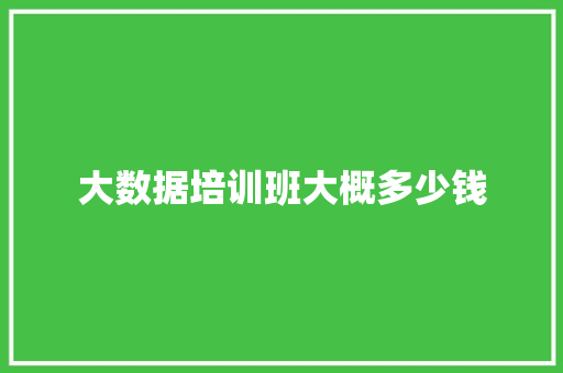 大数据培训班大概多少钱